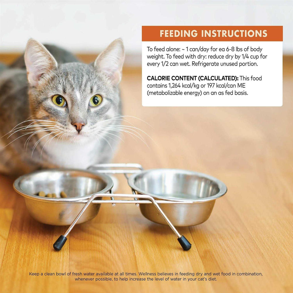 Cat Food Y384