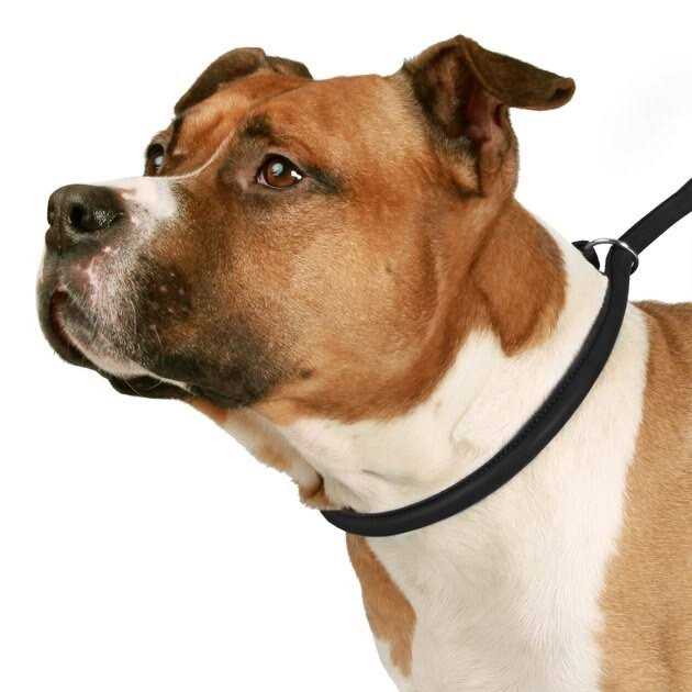Rolled Leather Dog Leash K27214