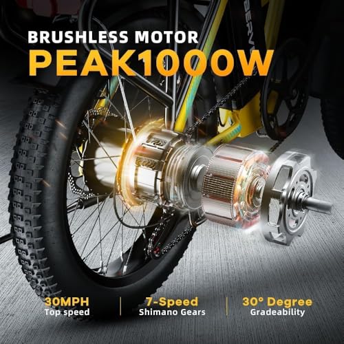 1000W Folding Electric Bike 48V 20.8AH Removable Battery 20" Fat Tire H838