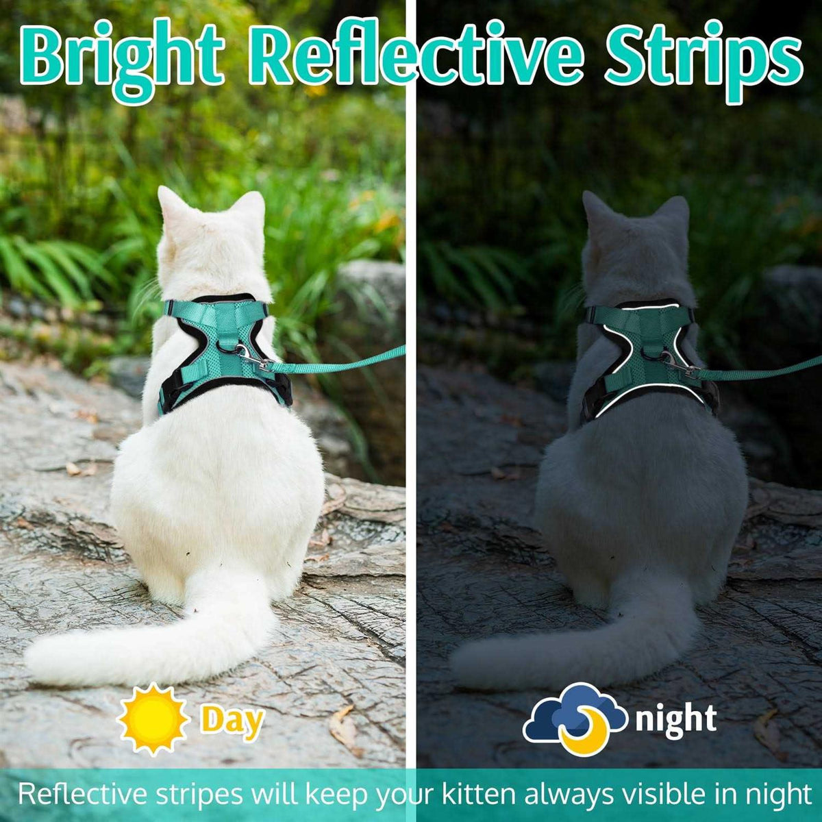Cat Harness and Leash G872