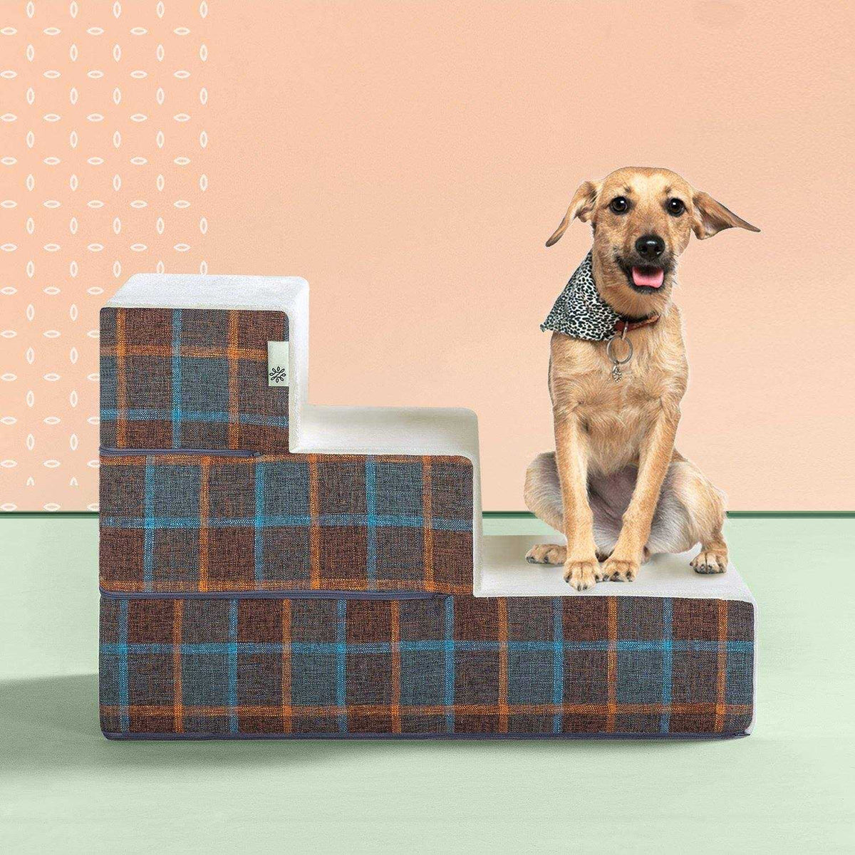 Blue Pet Stairs B5798