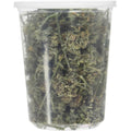 Catnip Buds T69841