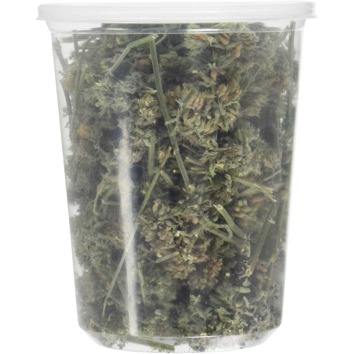 Catnip Buds T69841