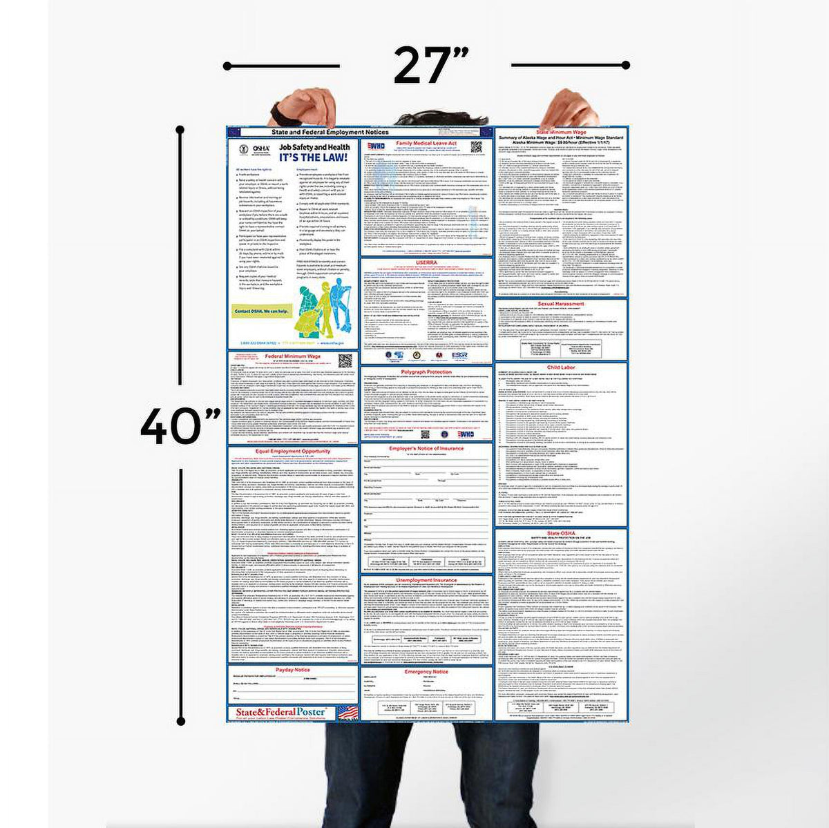 2024 Connecticut State and Federal Labor Law Poster H2419