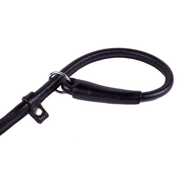 Rolled Leather Dog Leash K27214