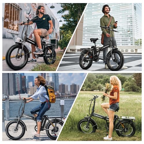 1000W Folding Electric Bike 48V 20.8AH Removable Battery 20" Fat Tire H838