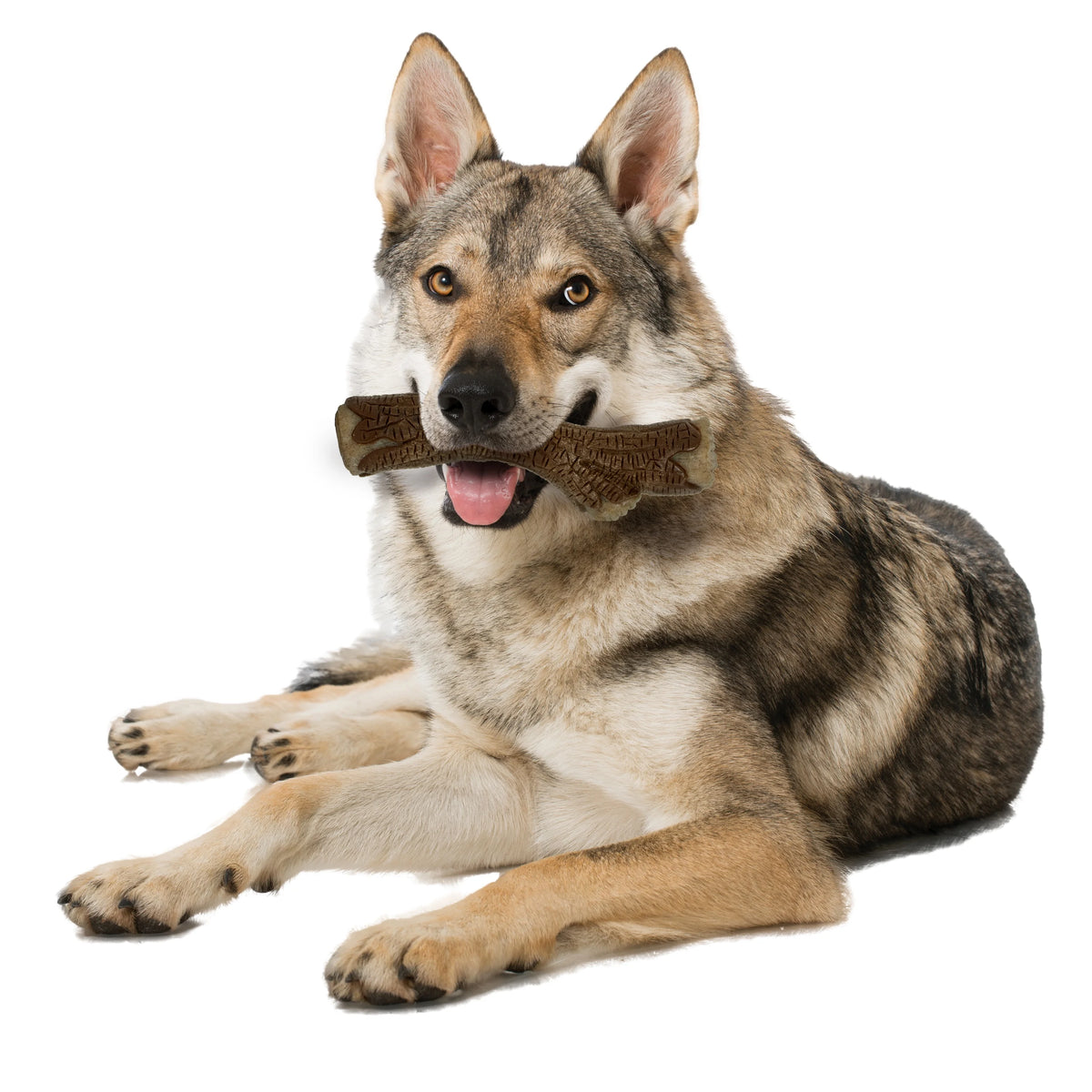Maple Bacon Wood Dog Chew Toy X-Large G452