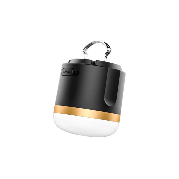 Camping Light D2316
