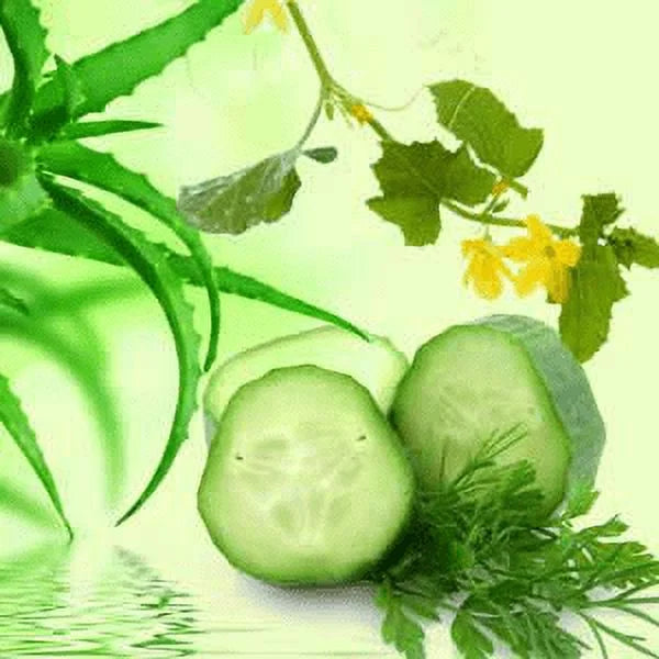 Aloe Vera & Cucumber Fragrance Oil C3287