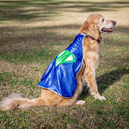 Personalized Dog Superhero Cape Small Red K379
