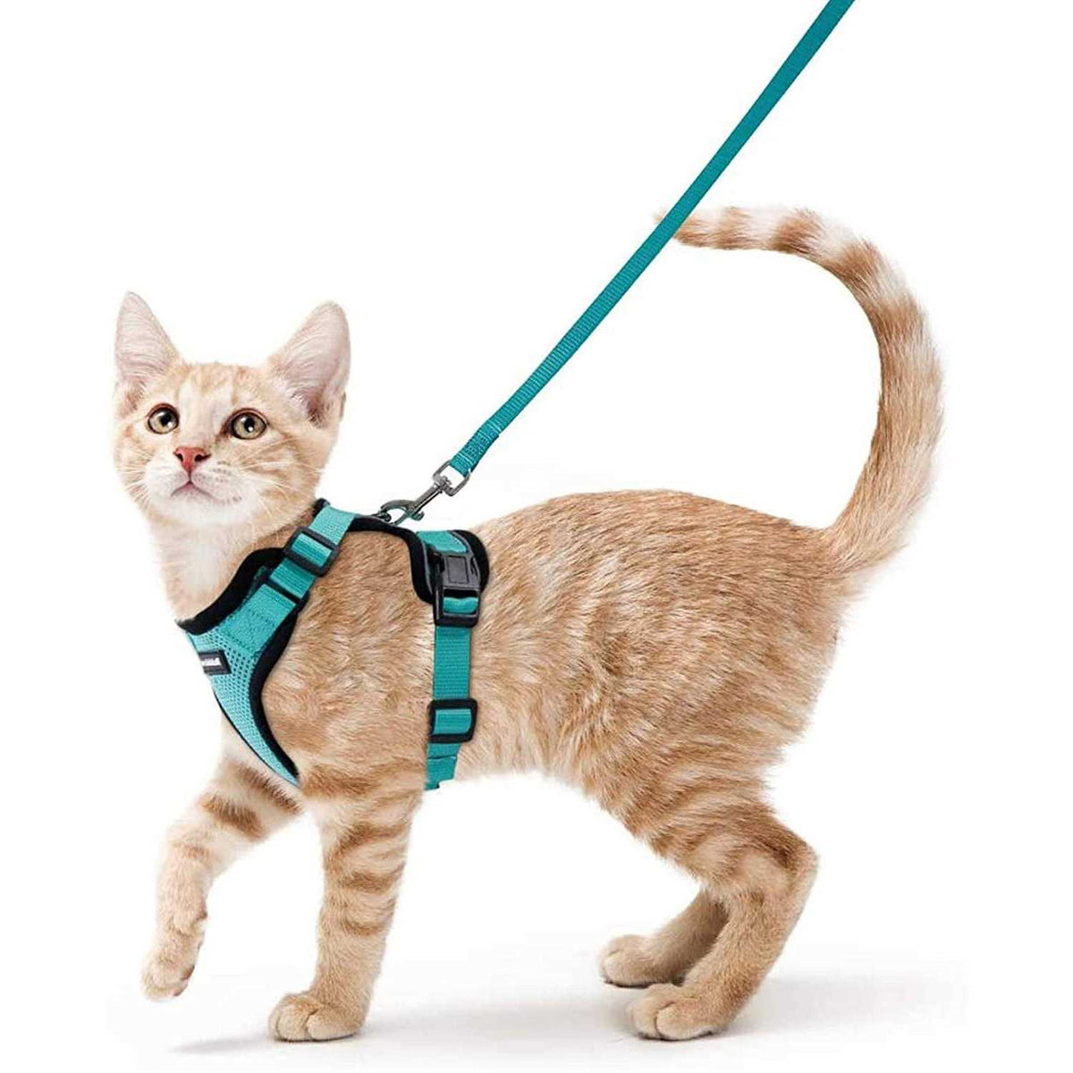 Cat Harness and Leash G872