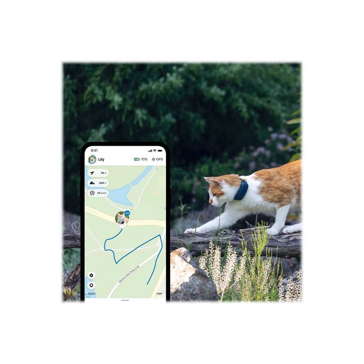 Waterproof GPS Cat Tracker O40843
