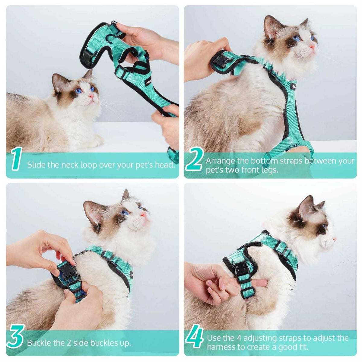 Cat Harness and Leash G872