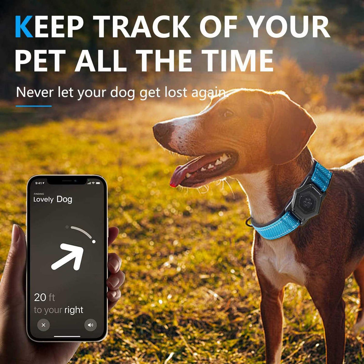 Adjustable Reflective Dog Collar with AirTag Holder P174