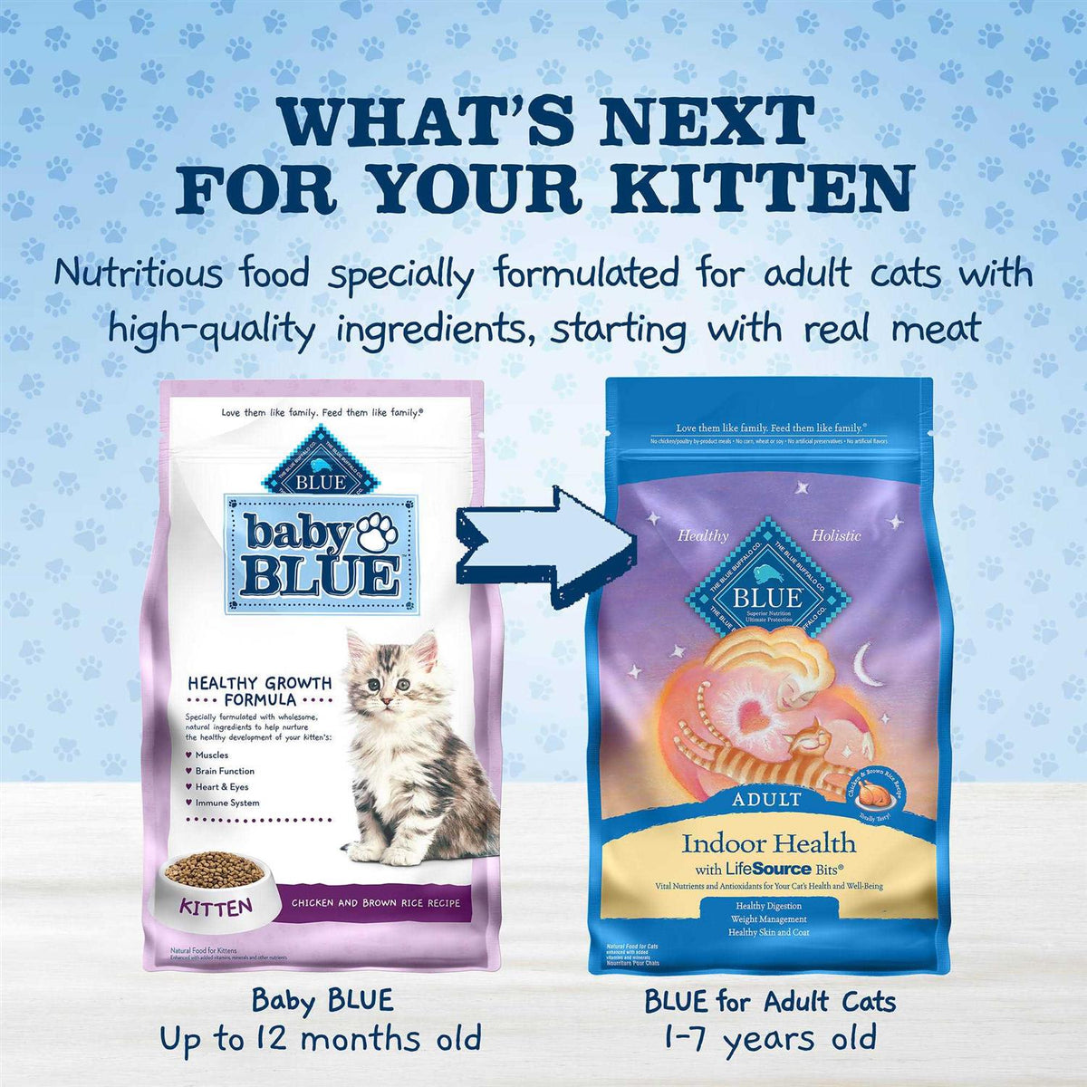 Chicken and Brown Rice Kitten Dry Cat Food K819104