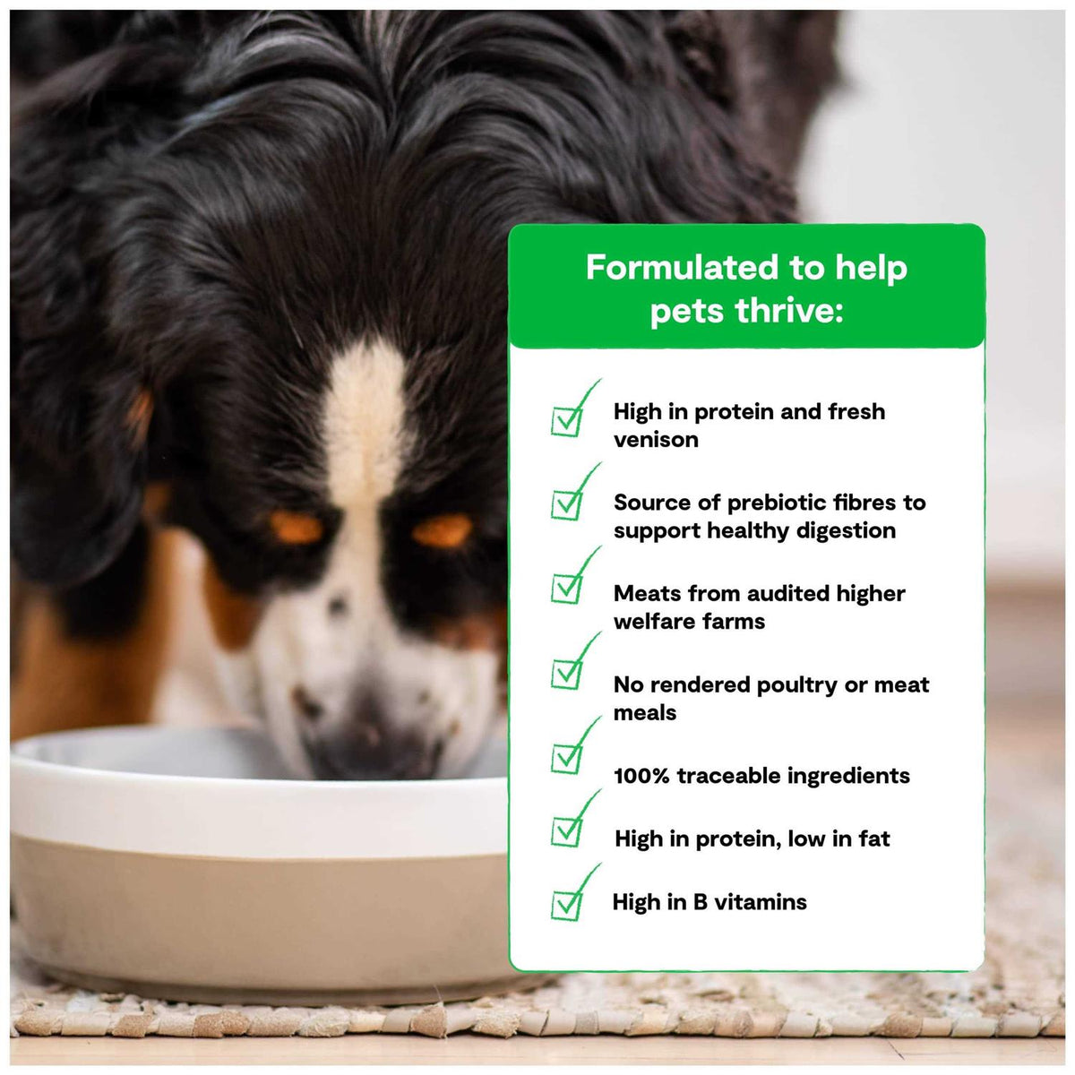 Grain Free Dry Dog Food O665
