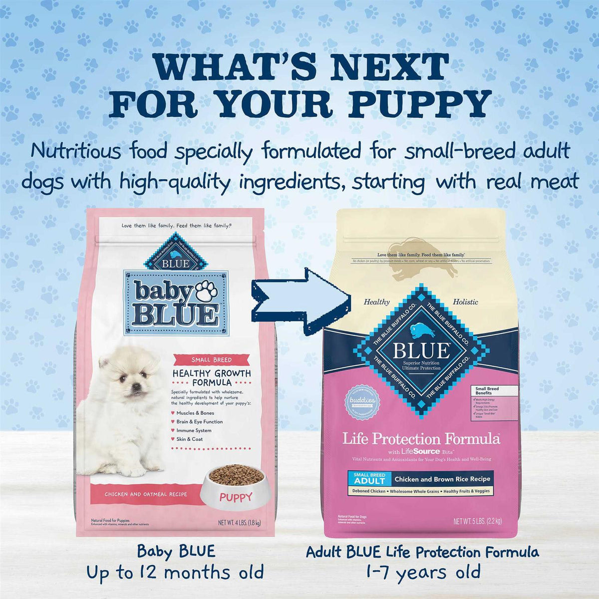 Natural Small Breed Puppy Dry Dog Food, Chicken and Oatmeal Rice Recipe 4-lb U548898