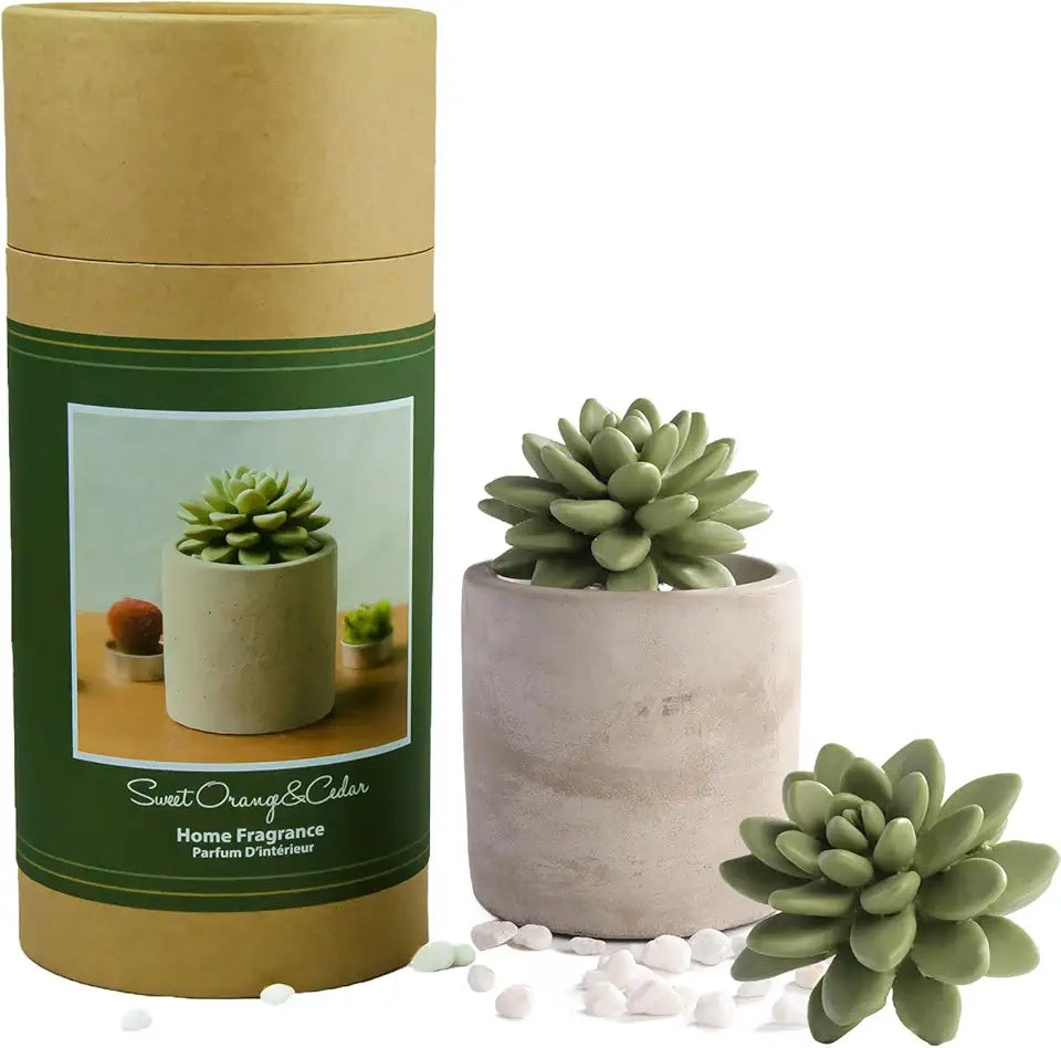 Gypsum Ceramic Fragrance Diffuser Vase Set 100ml S978