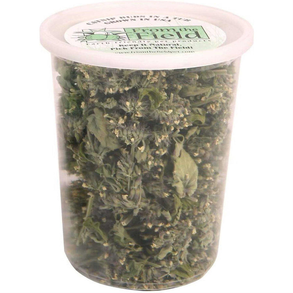 Catnip Buds T69841