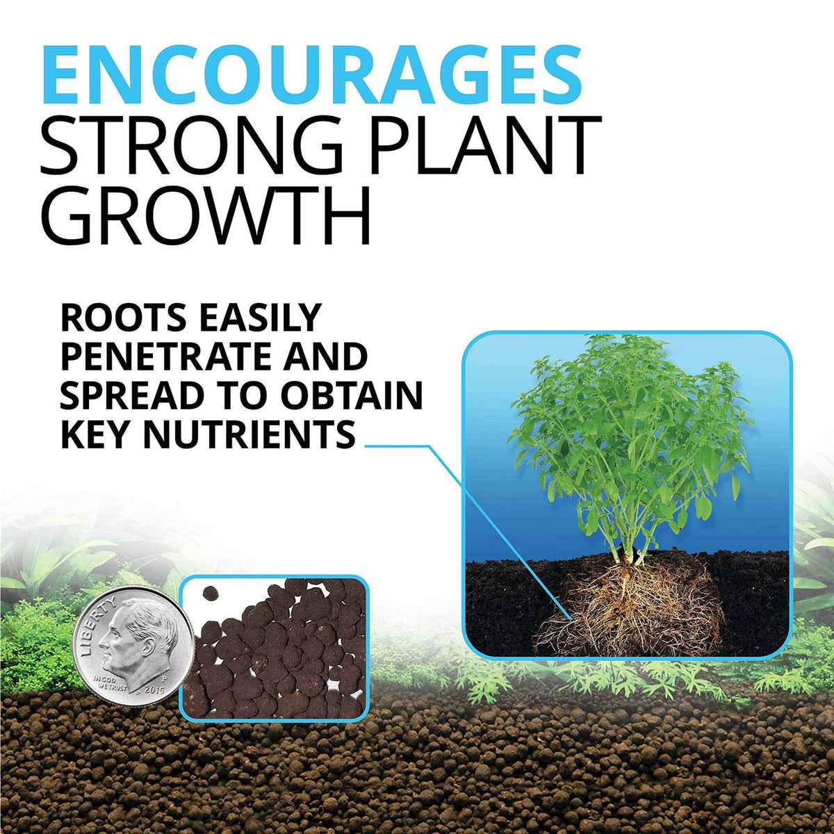 Plant and Shrimp Stratum S95236