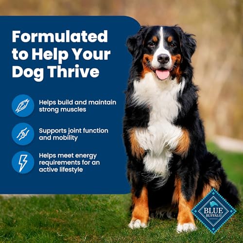 Natural Adult Dry Dog Food, Fish and Brown Rice 15-lb R7744