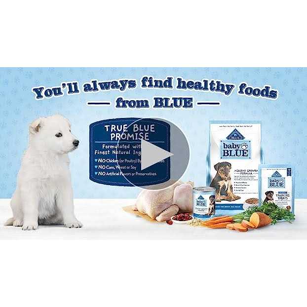 Natural Small Breed Puppy Dry Dog Food, Chicken and Oatmeal Rice Recipe 4-lb U548898