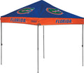 10 x 10 Straight Leg Canopy with Carry Bag N584