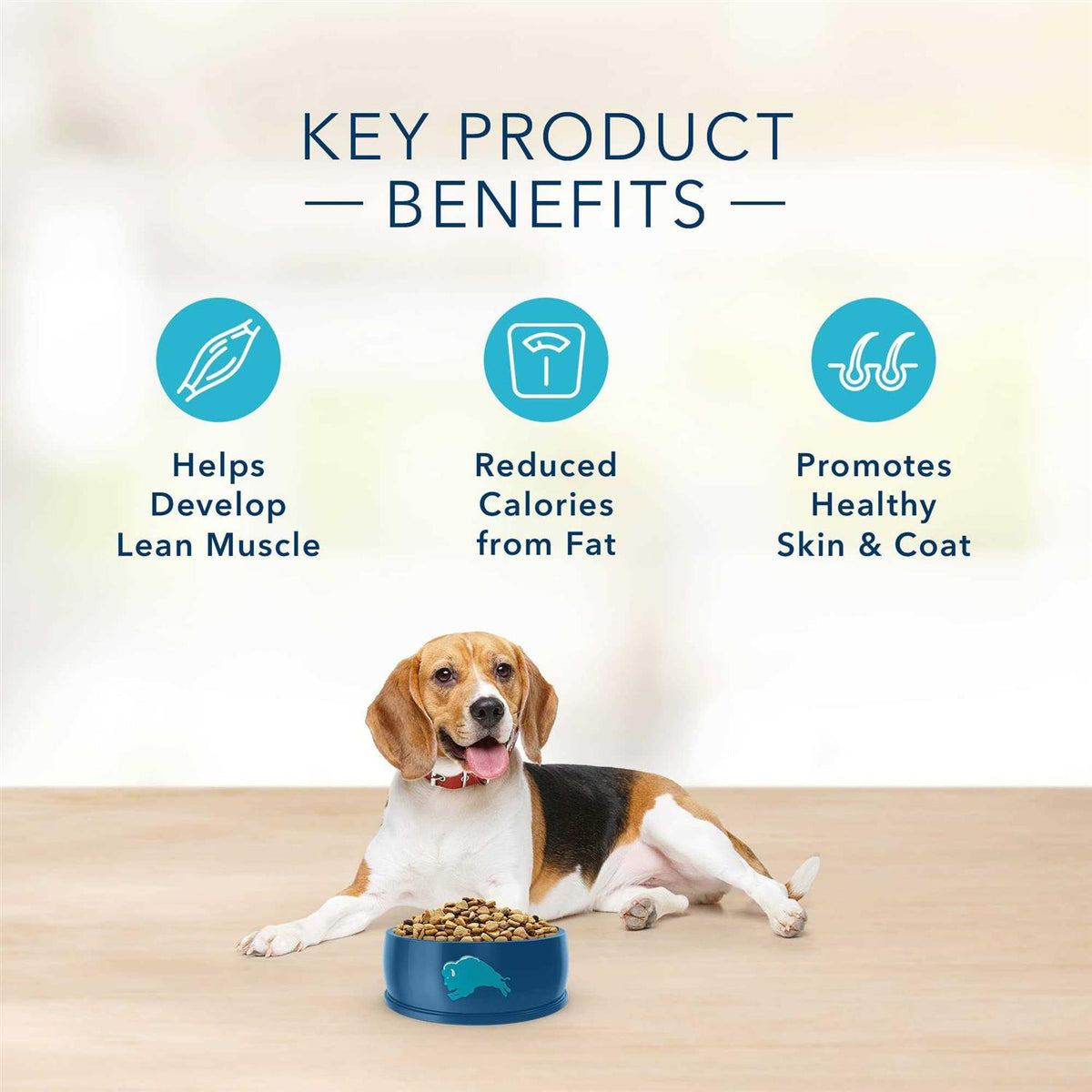 Turkey & Potato Dry Dog Food Z2612