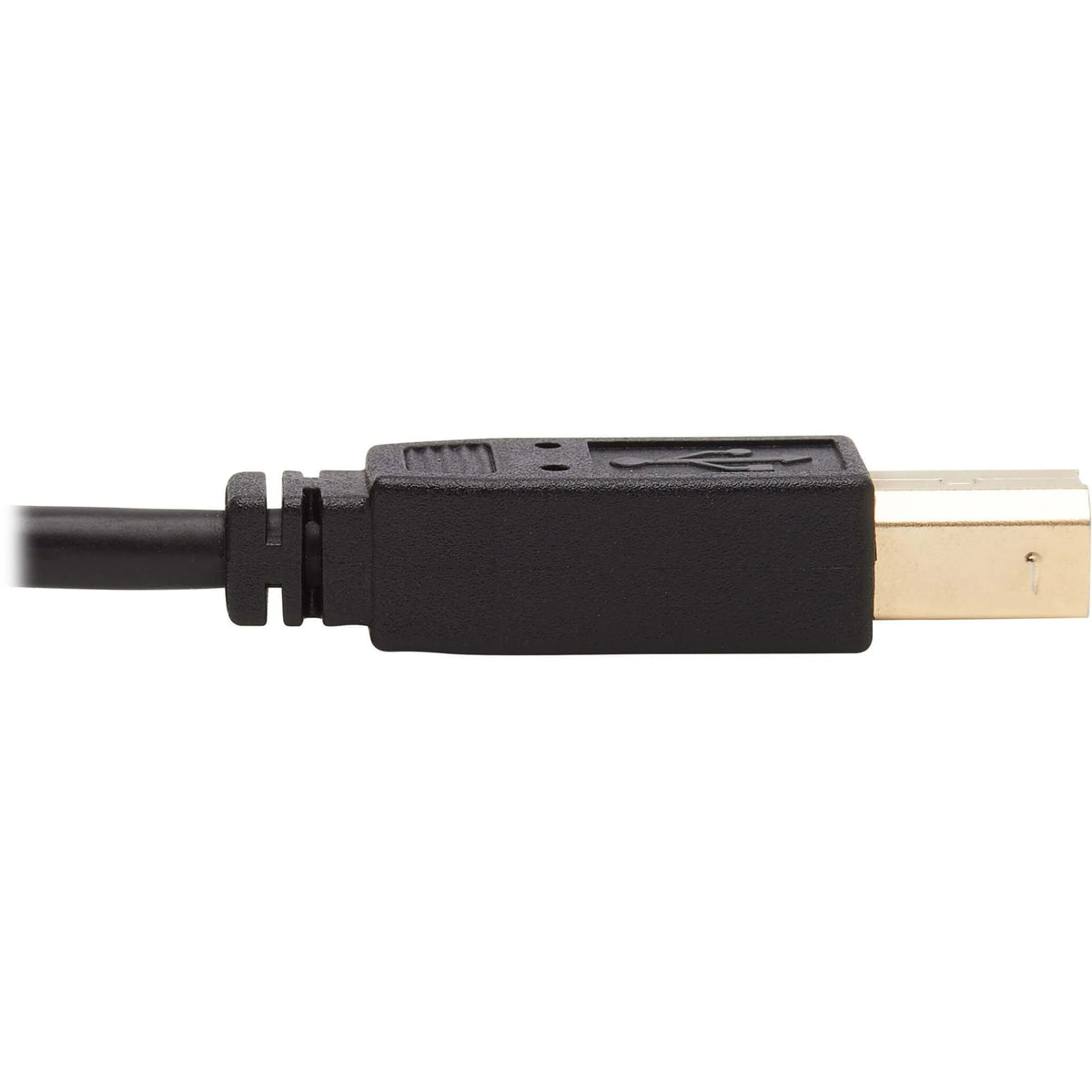 6 ft KVM Cable A2011