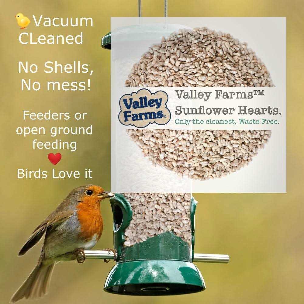 Sunflower Hearts Wild Bird Food J8011