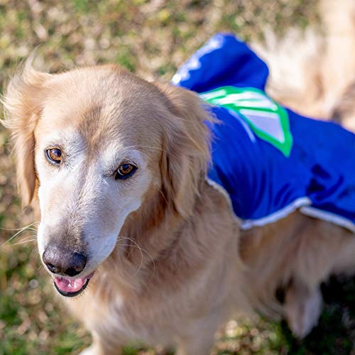 Personalized Dog Superhero Cape Small Red K379