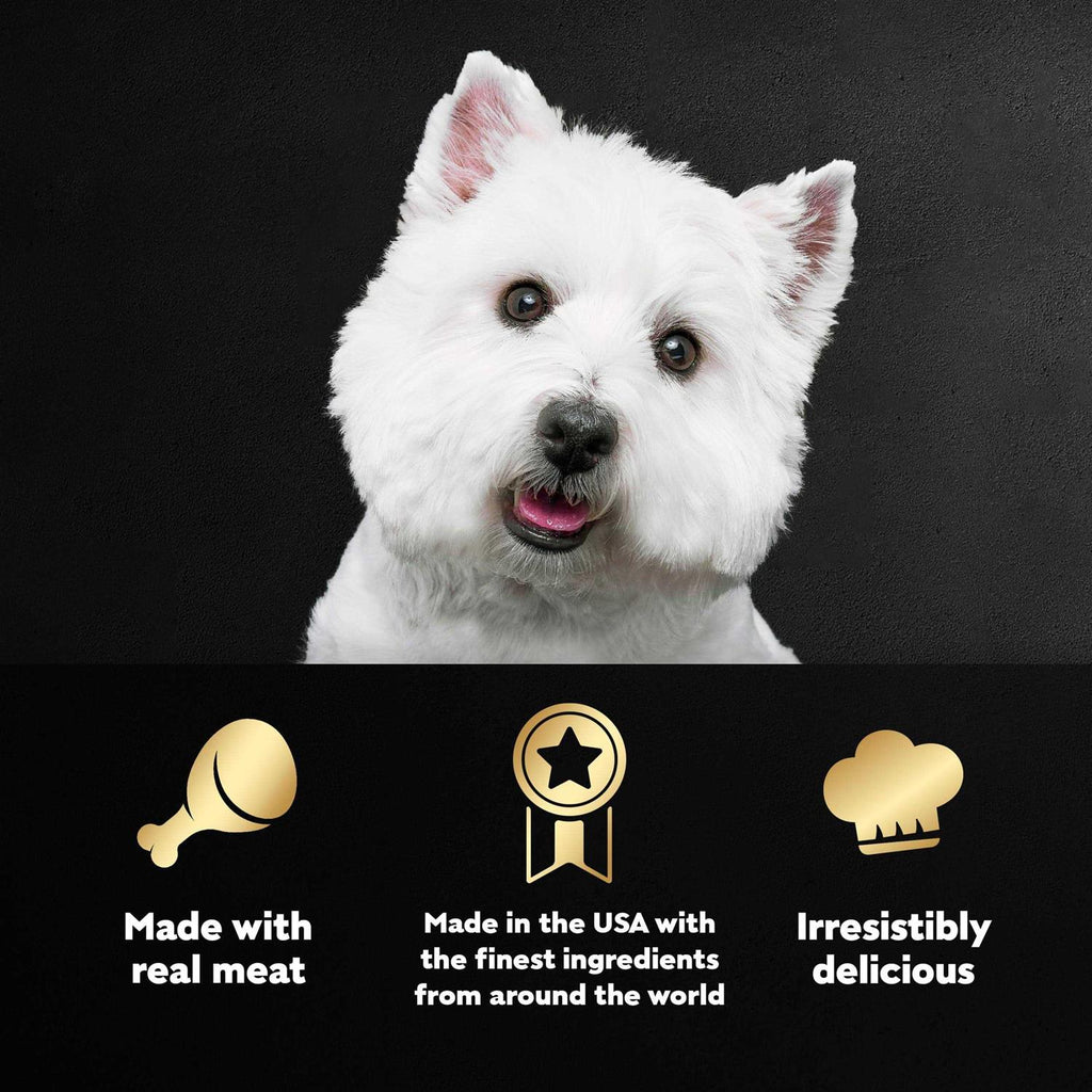 Wet Dog Food G723456