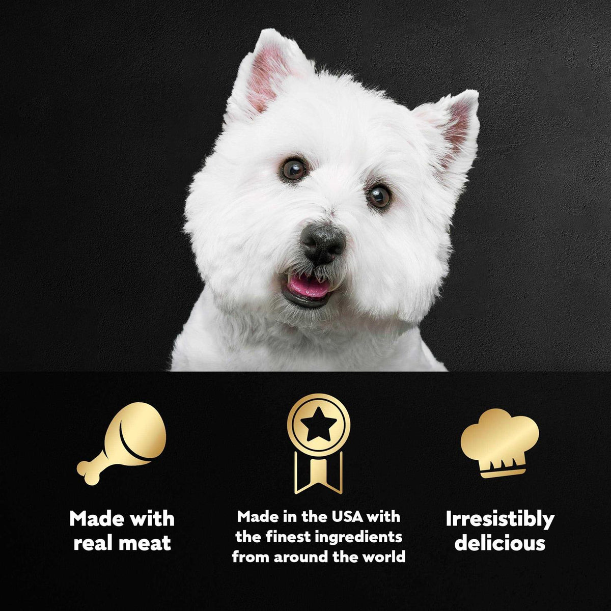 Wet Dog Food G723456