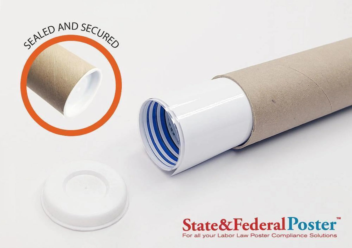 2024 Connecticut State and Federal Labor Law Poster H2419